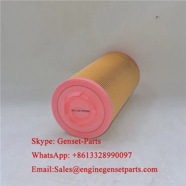P778972 Air Filter