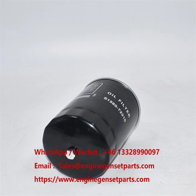 S1560-72210 C1317